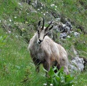 Naturfaszination: Erleben und Vermitteln (Kinderbetreuung möglich)